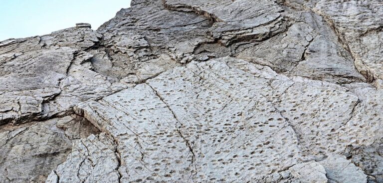 Vědci objevují údolí dinosaurů s tisíci stopami v Alpách