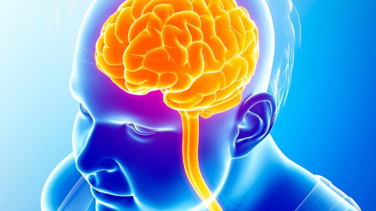 Jak se mozek a tuk vzájemně ovlivňují: Důsledky obezity na kognitivní funkce