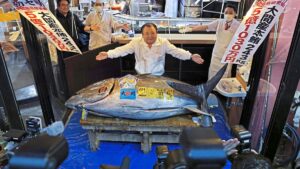 Majitel restaurace utratil miliony za zvláštní rybu