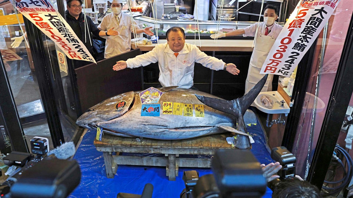 Majitel restaurace utratil miliony za zvláštní rybu