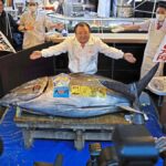 Restauratéři platí miliony za tento výjimečný ryb