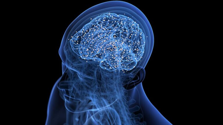 Účinek center odměn na imunitní systém