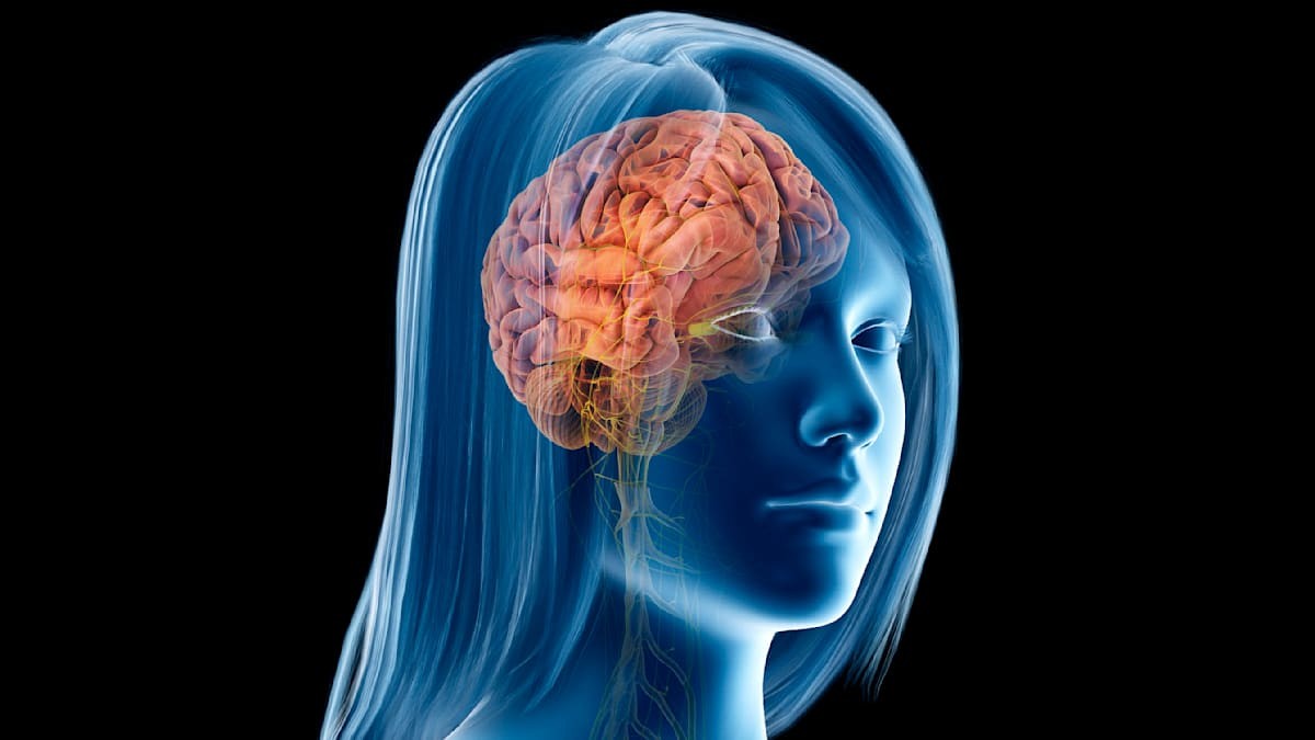 Změny struktury mozku u žen během menopauzy