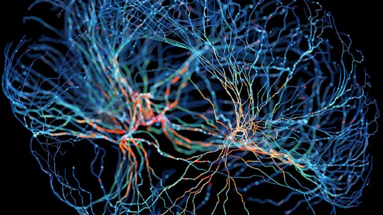 Jaké změny probíhají v mozku, když rozhodujeme o ostatních?