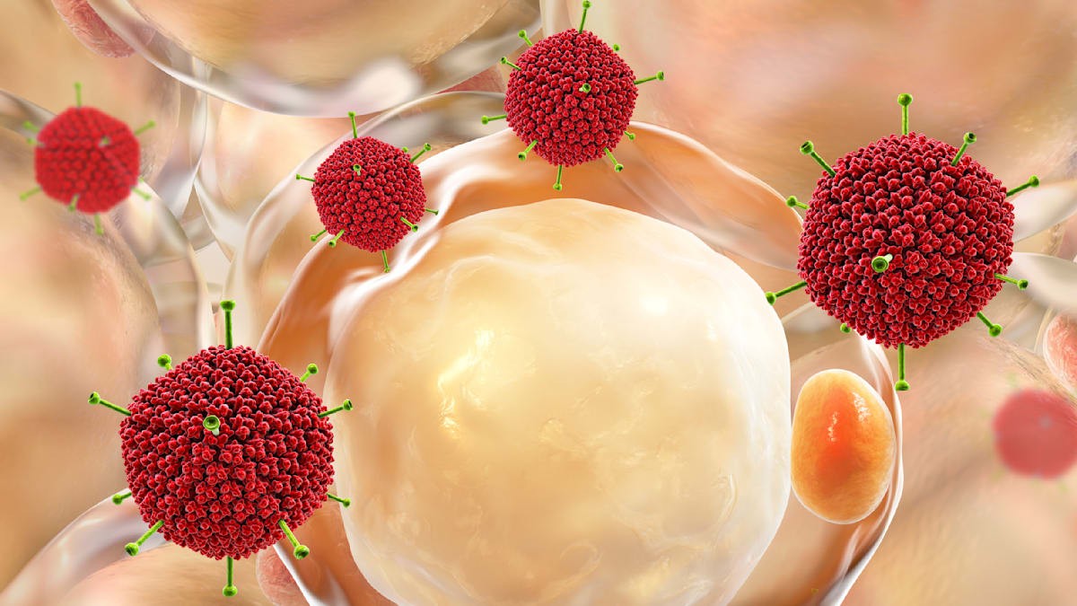 Jak obezita dramaticky zvyšuje riziko smrtelných infekcí