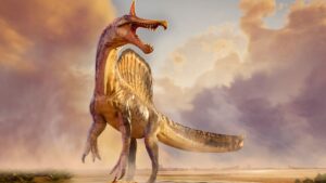 Objev obrovského dravého dinosaura v saharském písku