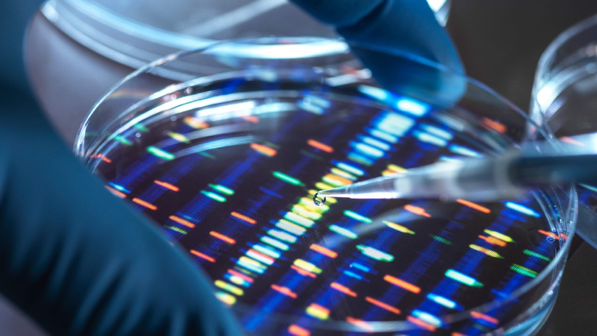 Proč i 25 let po rozluštění genomu zůstává mnoho otázek nezodpovězeno