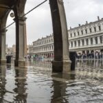 Video ukazují, jak tisíce ryb plavou ulicemi Benátek