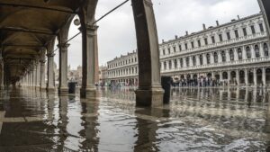 Video ukazují, jak tisíce ryb plavou ulicemi Benátek