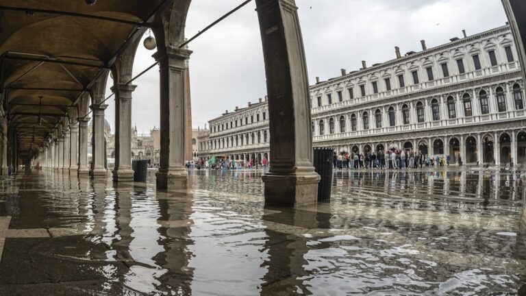 Video ukazují, jak tisíce ryb plavou ulicemi Benátek