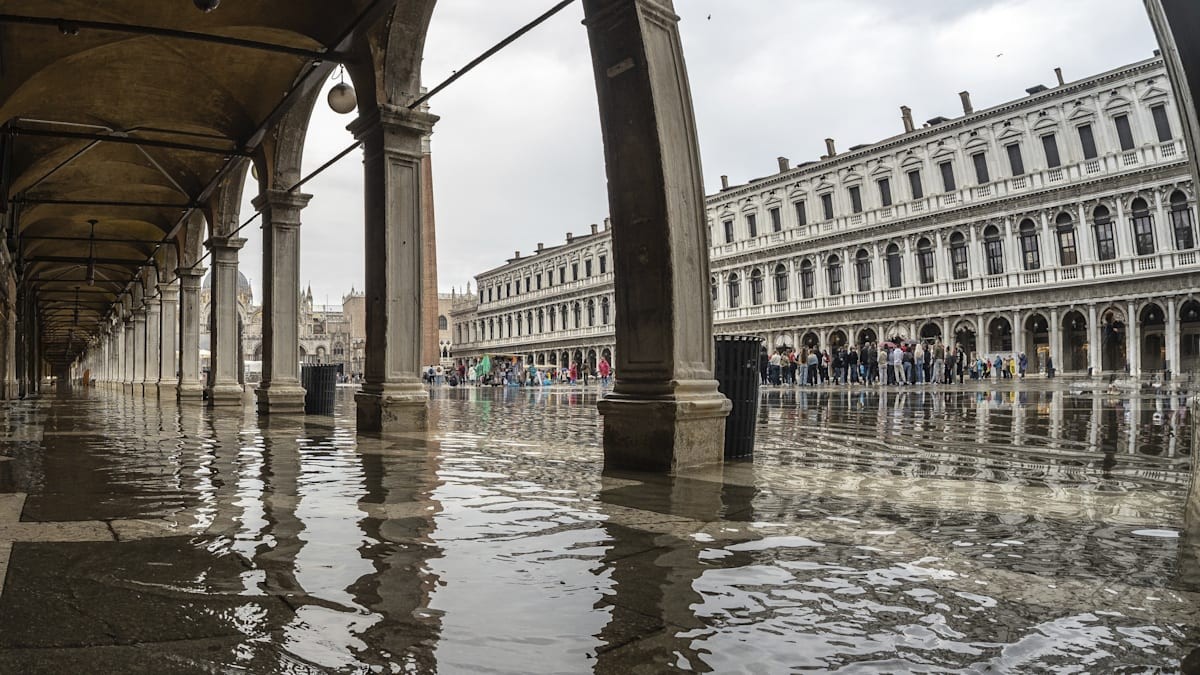 Video ukazují, jak tisíce ryb plavou ulicemi Benátek