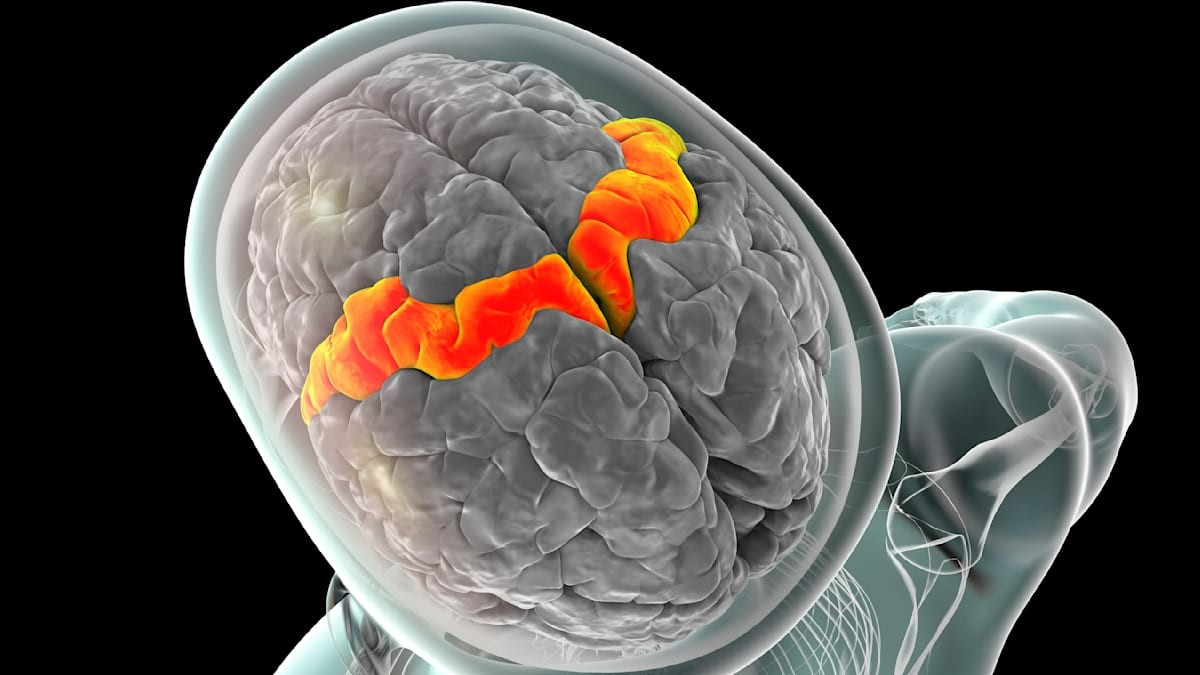 Výzkumníci dešifrují myšlenky pomocí mozkového čipu