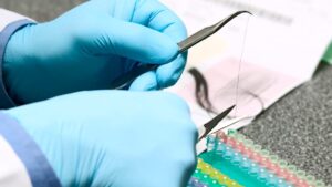 Mohou být účinnější terapie rakoviny? Vědci čtou biologický rytmus z vlasového vzorku