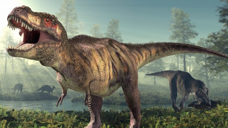 Neznámý příbuzný T-Rexe? Na archeology čeká záhada obřího holenního kosti