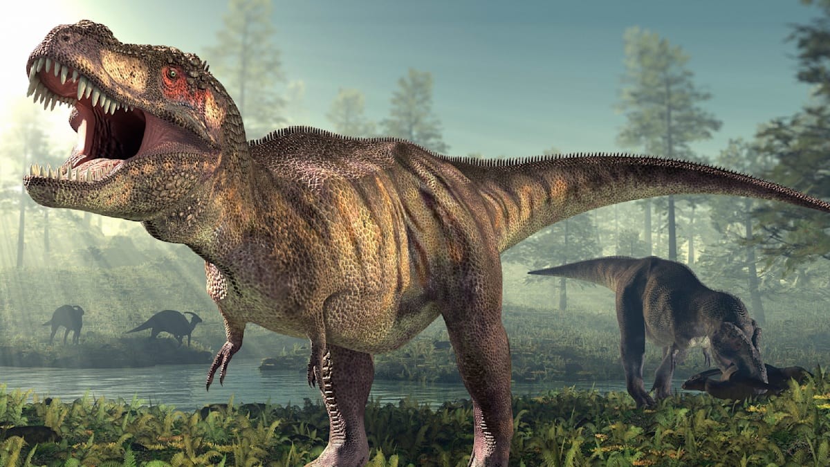 Neznámý příbuzný T-Rexe? Na archeology čeká záhada obřího holenního kosti