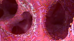 Trvalé změny v mikrobiomu po užívání antibiotik