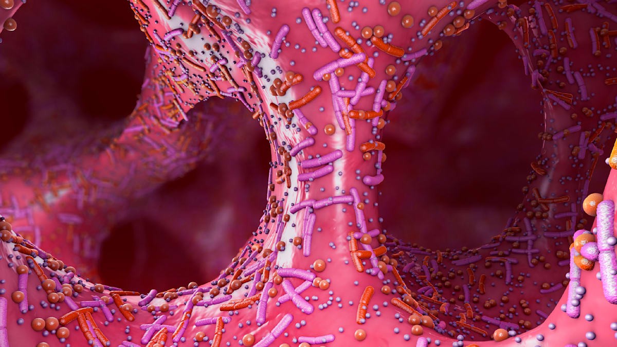 Trvalé změny v mikrobiomu po užívání antibiotik