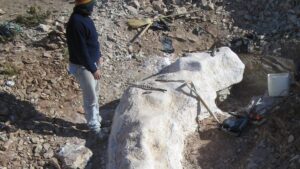 Činitel nalezen v Patagonii: Nový druh dinosaurů objeven na farmě argentinského pastýře