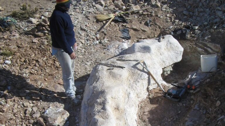 Činitel nalezen v Patagonii: Nový druh dinosaurů objeven na farmě argentinského pastýře