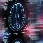 Funkce mozkových skenů v odhalování rozporů v morálním jednání