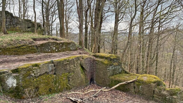 Případ nezákonného archeologického výzkumu poblíž Wartburgu