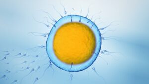 Sen o sériovém klonování? Nakonec pomůže jen sex