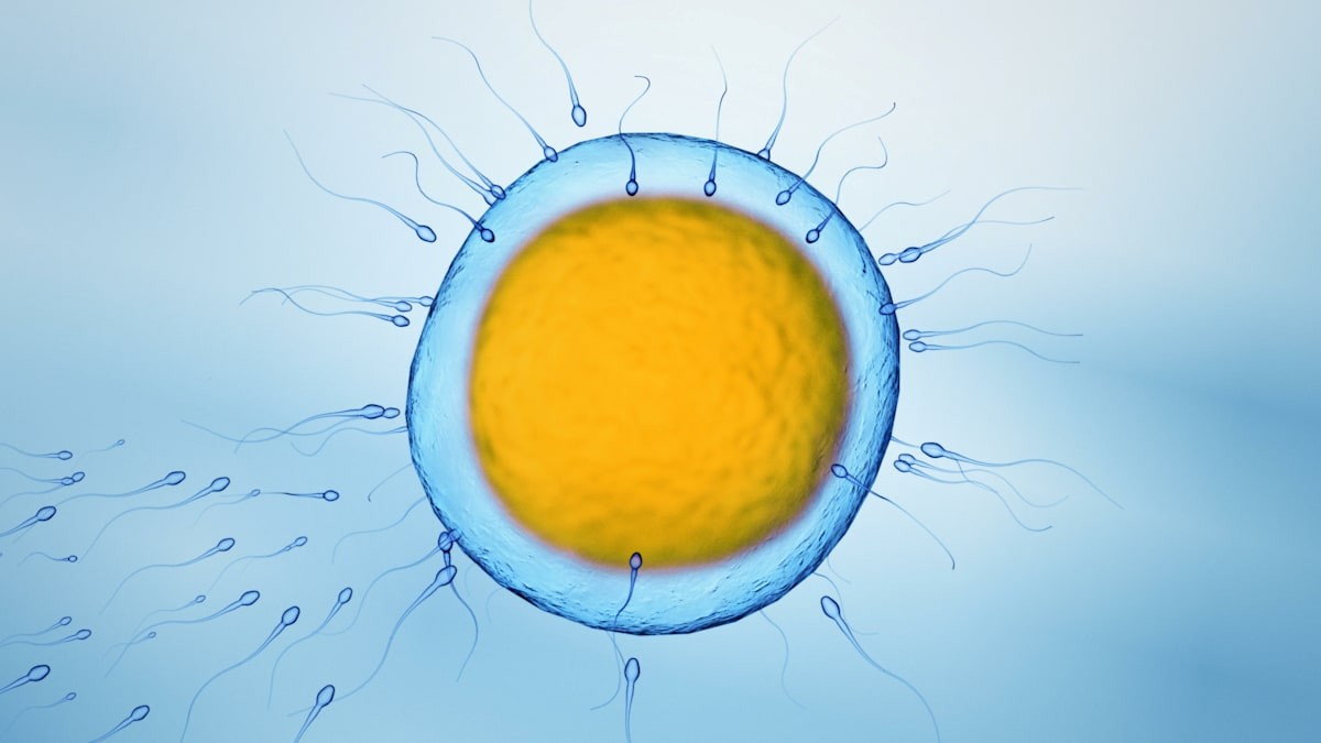 Sen o sériovém klonování? Nakonec pomůže jen sex